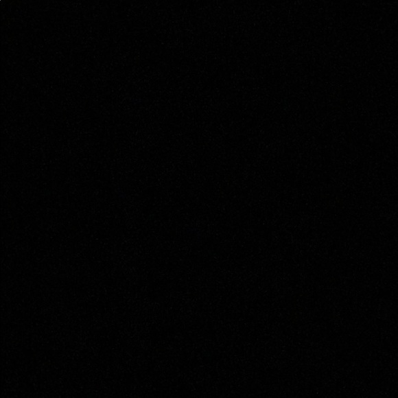 Meet your Posher, Shanel - Picture 1 of 1